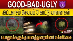 GOOD-BAD-UGLY அட்டகாசம் செய்யும் 3 காட்டு யானைகள்..! Krishnagiri | PT Vellore